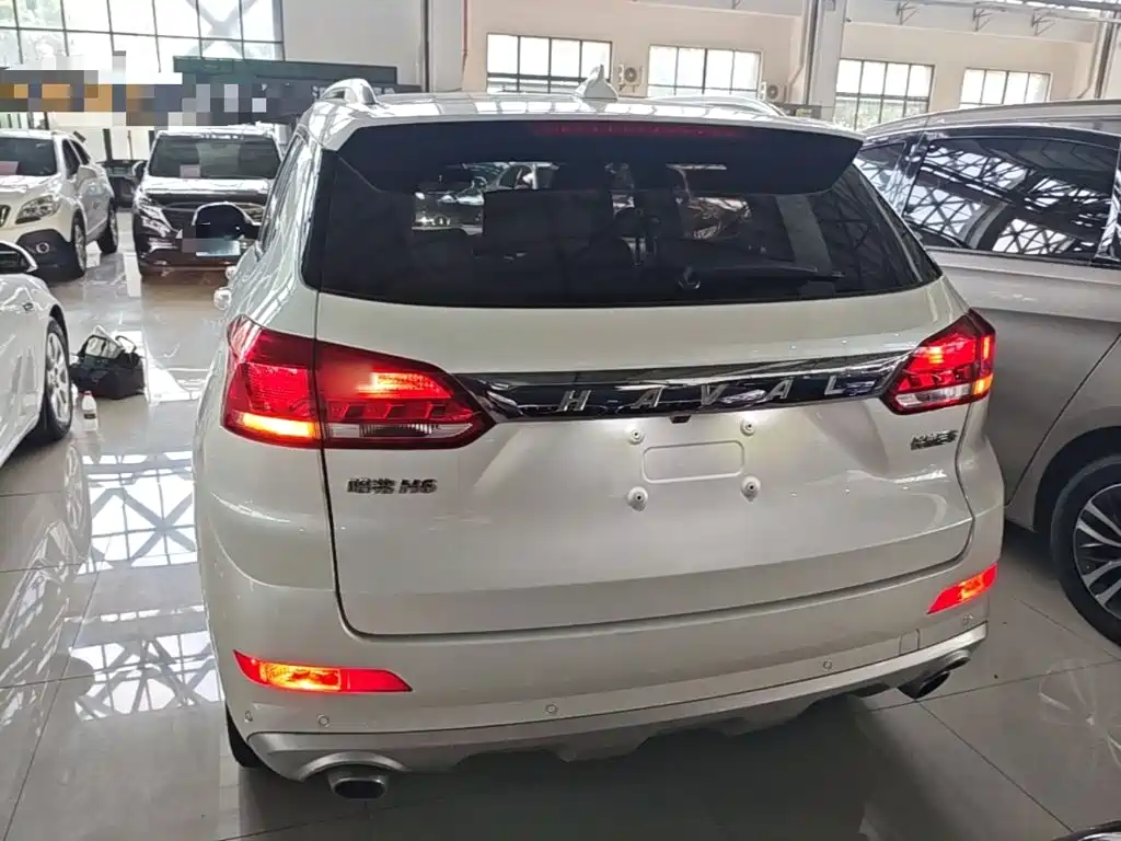 Haval H6 Coupe — фото 6