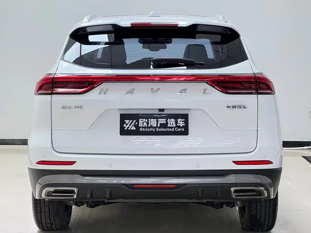 Haval H6 — фото 5