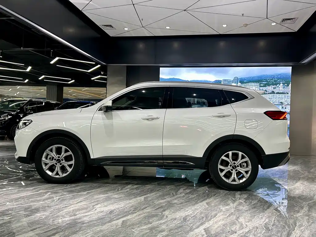 Haval H6 — фото 8