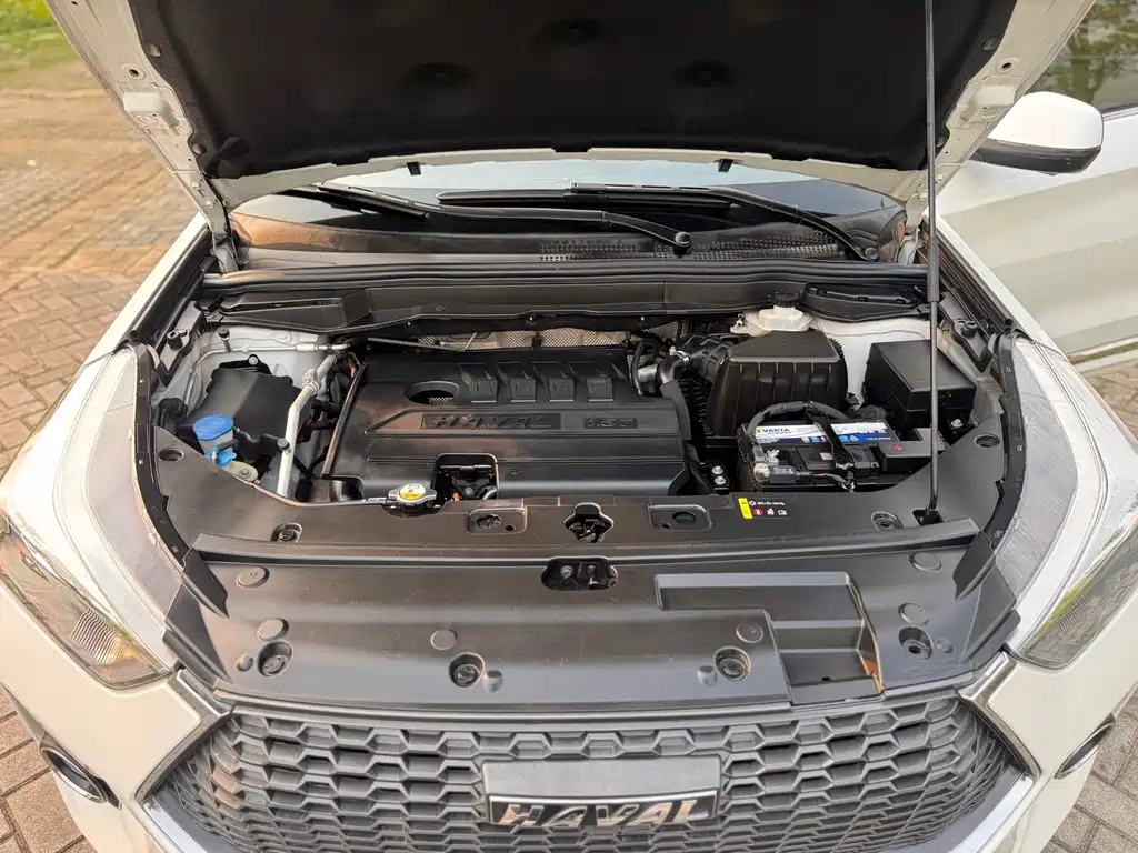 Haval H6 Coupe — фото 17