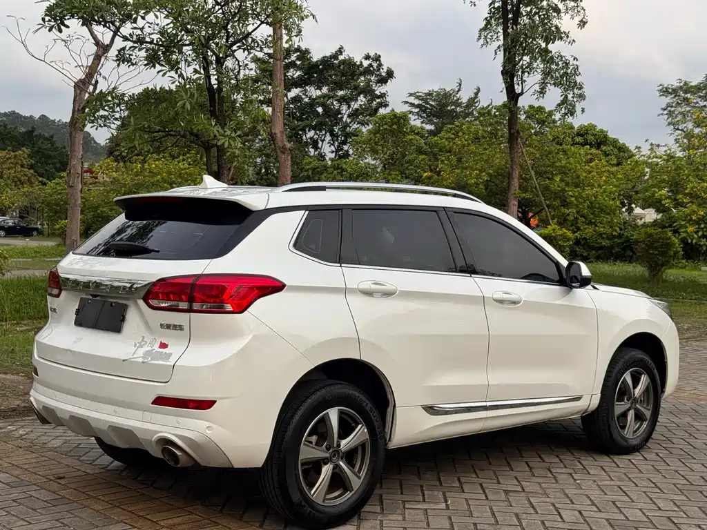 Haval H6 Coupe — фото 4