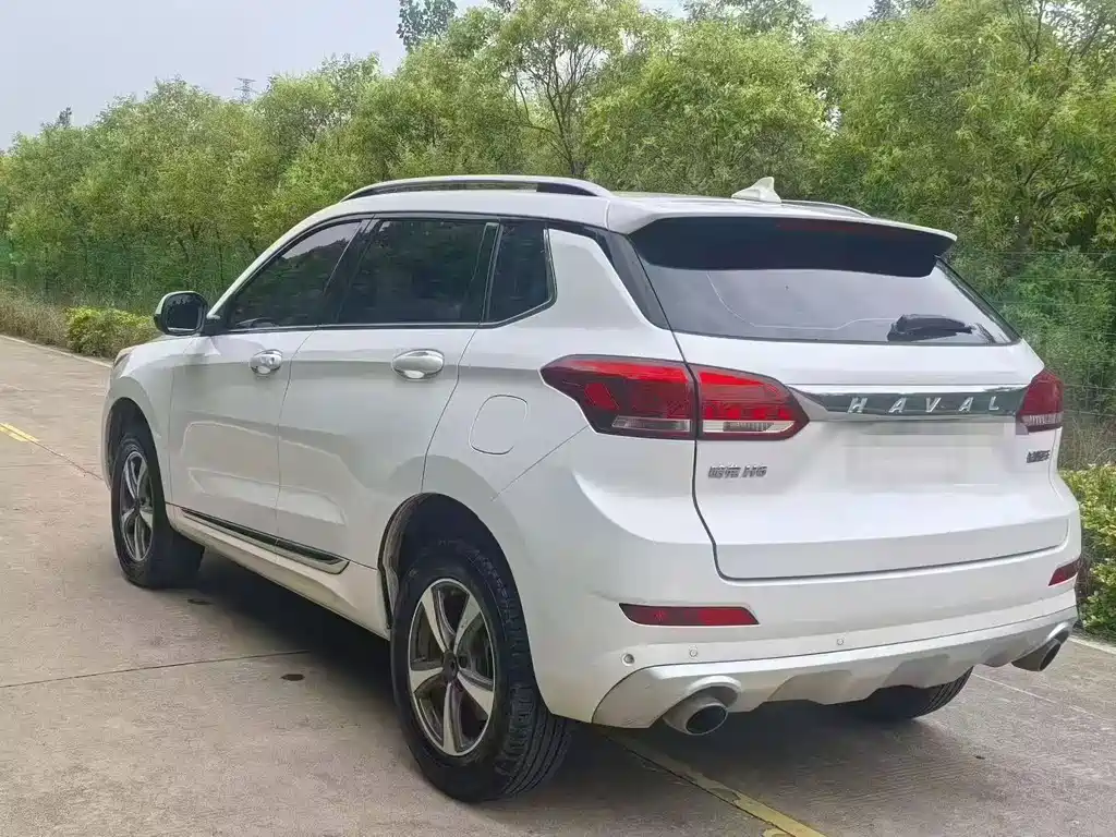 Haval H6 Coupe — фото 6