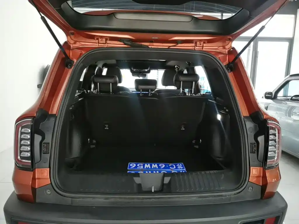 Haval Big Dog — фото 19