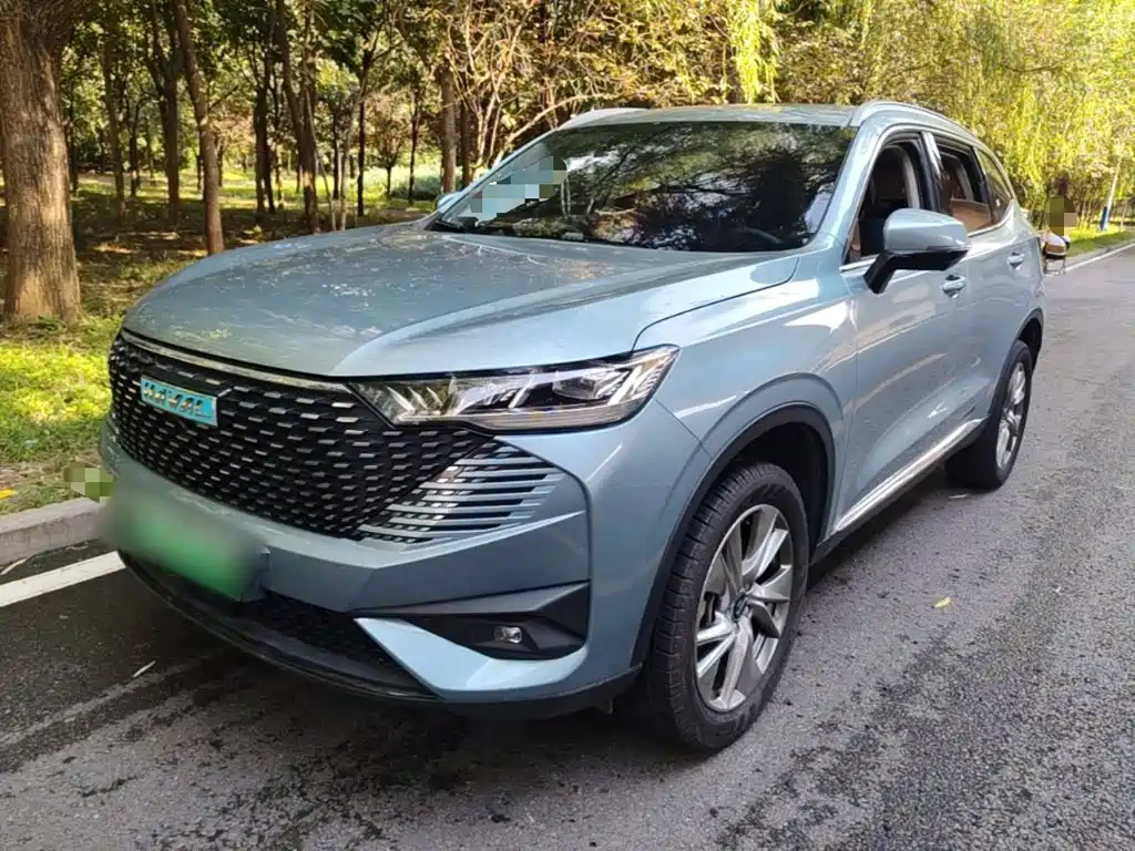 Haval H6 New Energy — фото 2