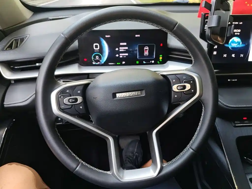 Haval H6 New Energy — фото 11
