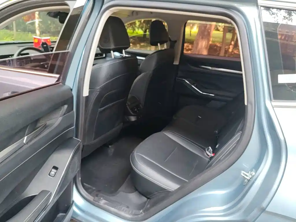 Haval H6 New Energy — фото 17