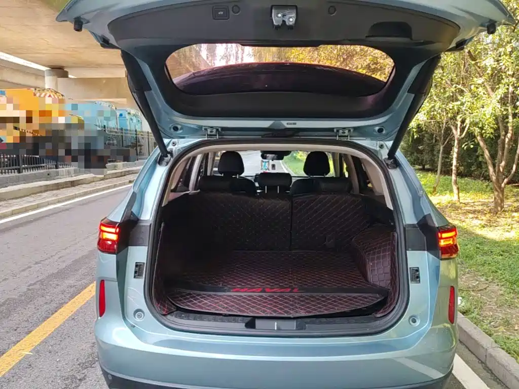 Haval H6 New Energy — фото 19