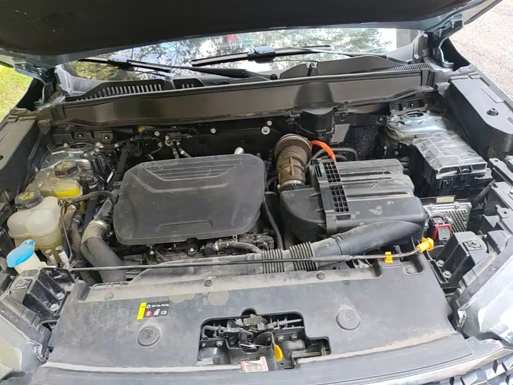 Haval H6 New Energy — фото 20
