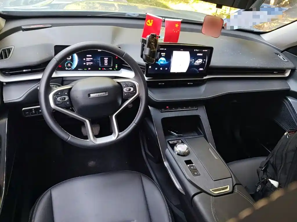 Haval H6 New Energy — фото 10