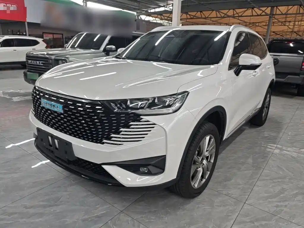 Haval H6 New Energy — фото 2