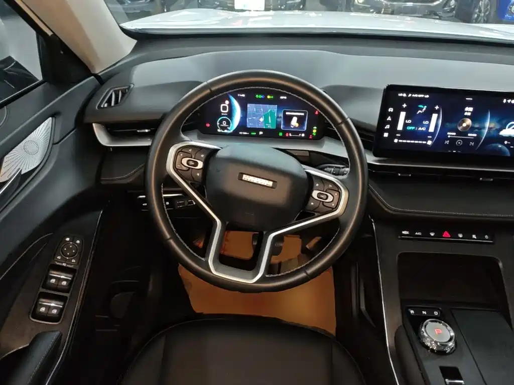 Haval H6 New Energy — фото 11