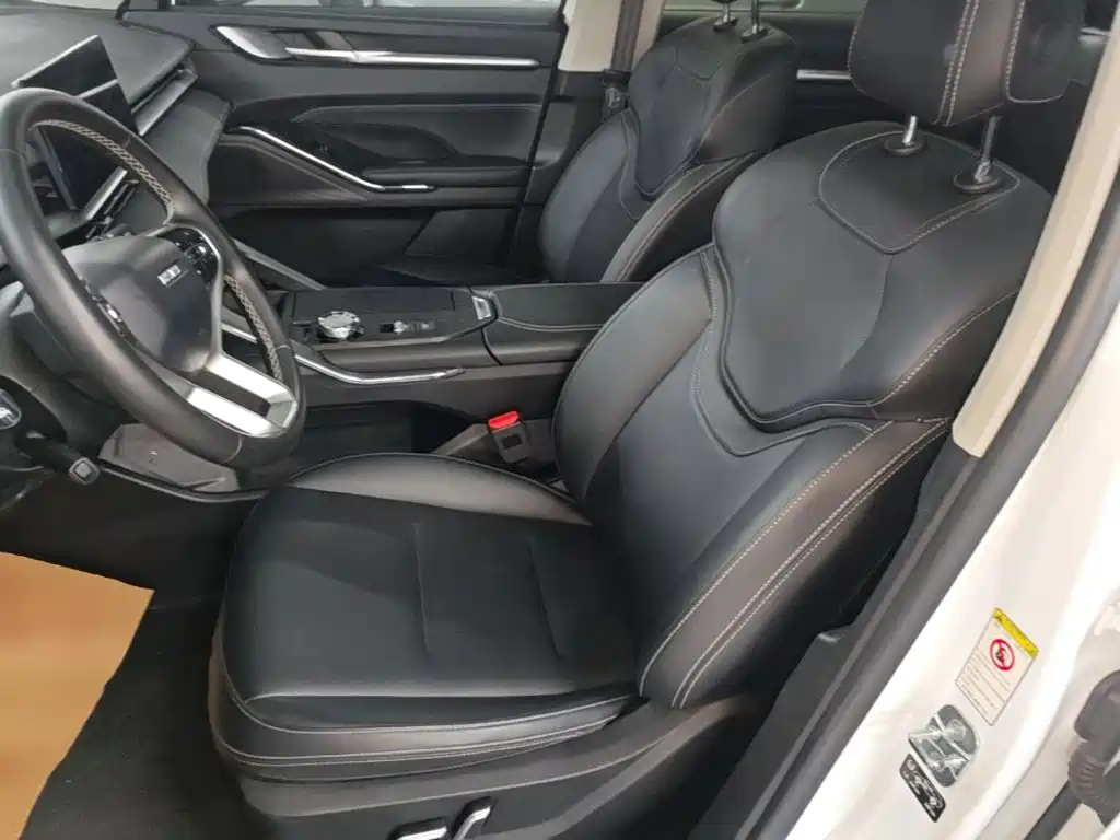 Haval H6 New Energy — фото 15