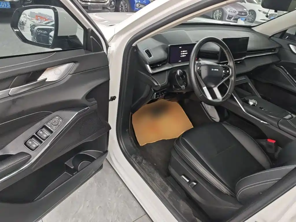 Haval H6 New Energy — фото 16