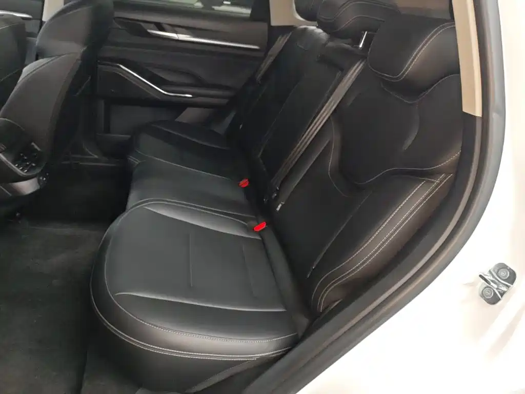 Haval H6 New Energy — фото 17