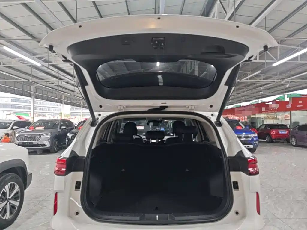 Haval H6 New Energy — фото 19