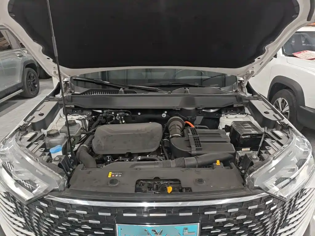 Haval H6 New Energy — фото 20