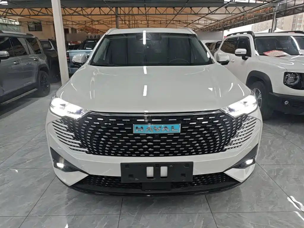 Haval H6 New Energy — фото 3