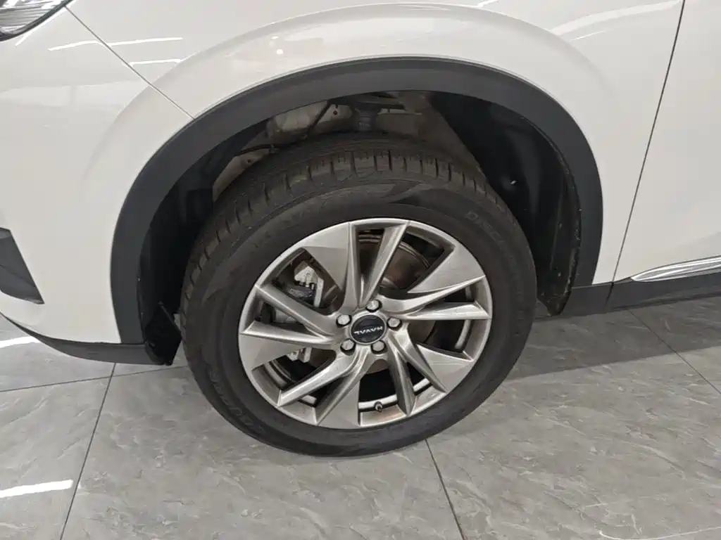 Haval H6 New Energy — фото 23