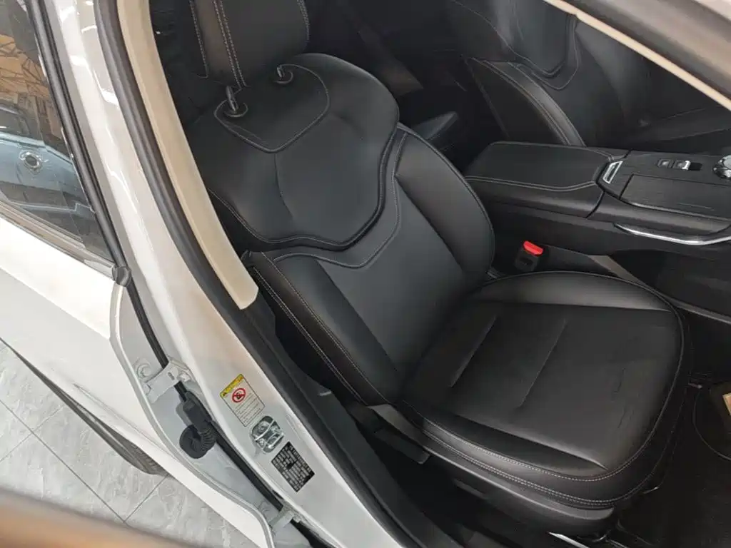 Haval H6 New Energy — фото 25