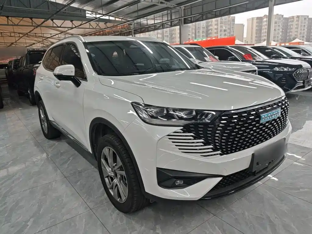 Haval H6 New Energy — фото 4