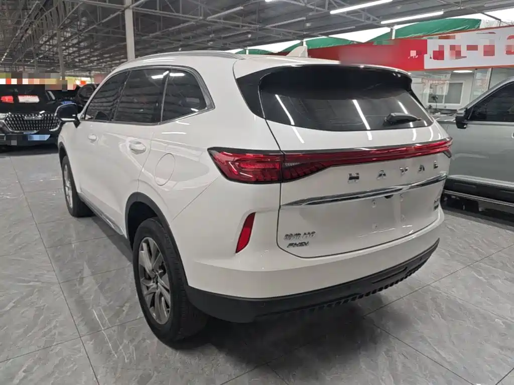 Haval H6 New Energy — фото 5