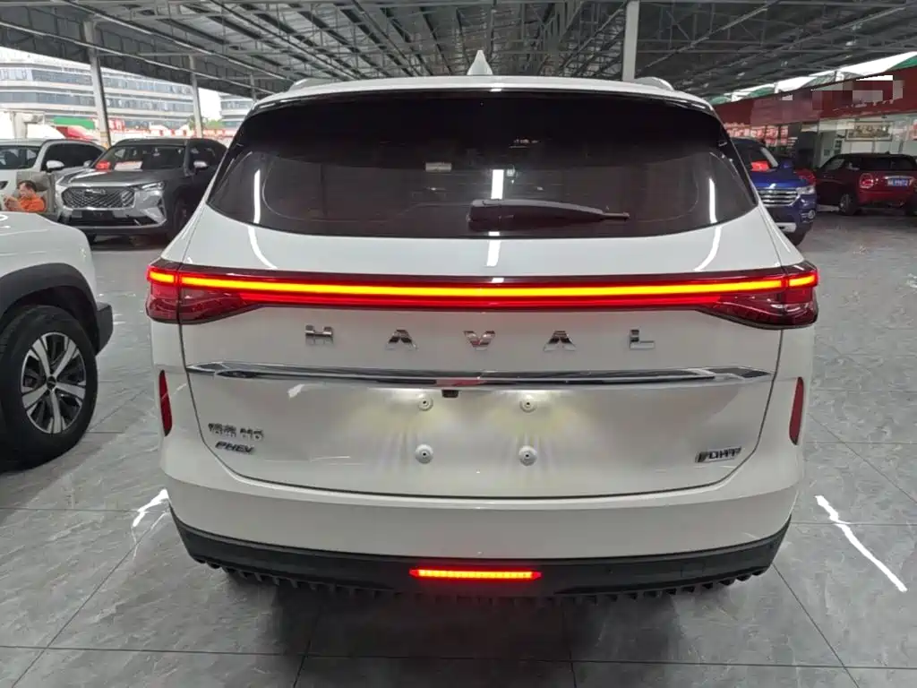 Haval H6 New Energy — фото 6
