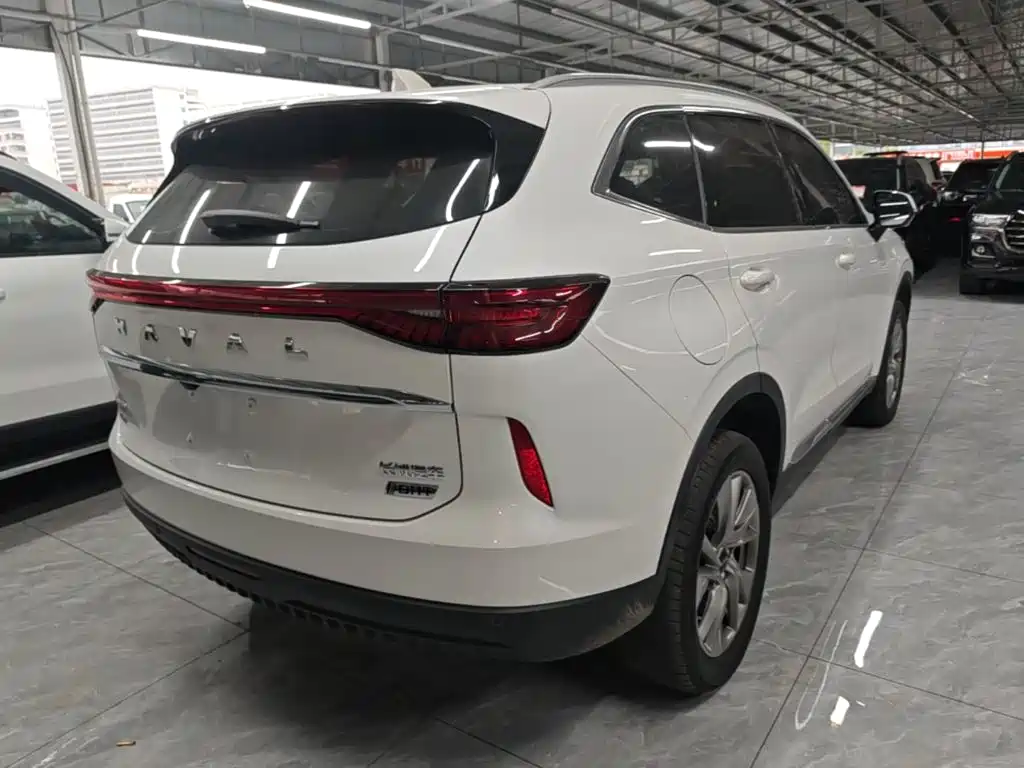 Haval H6 New Energy — фото 7