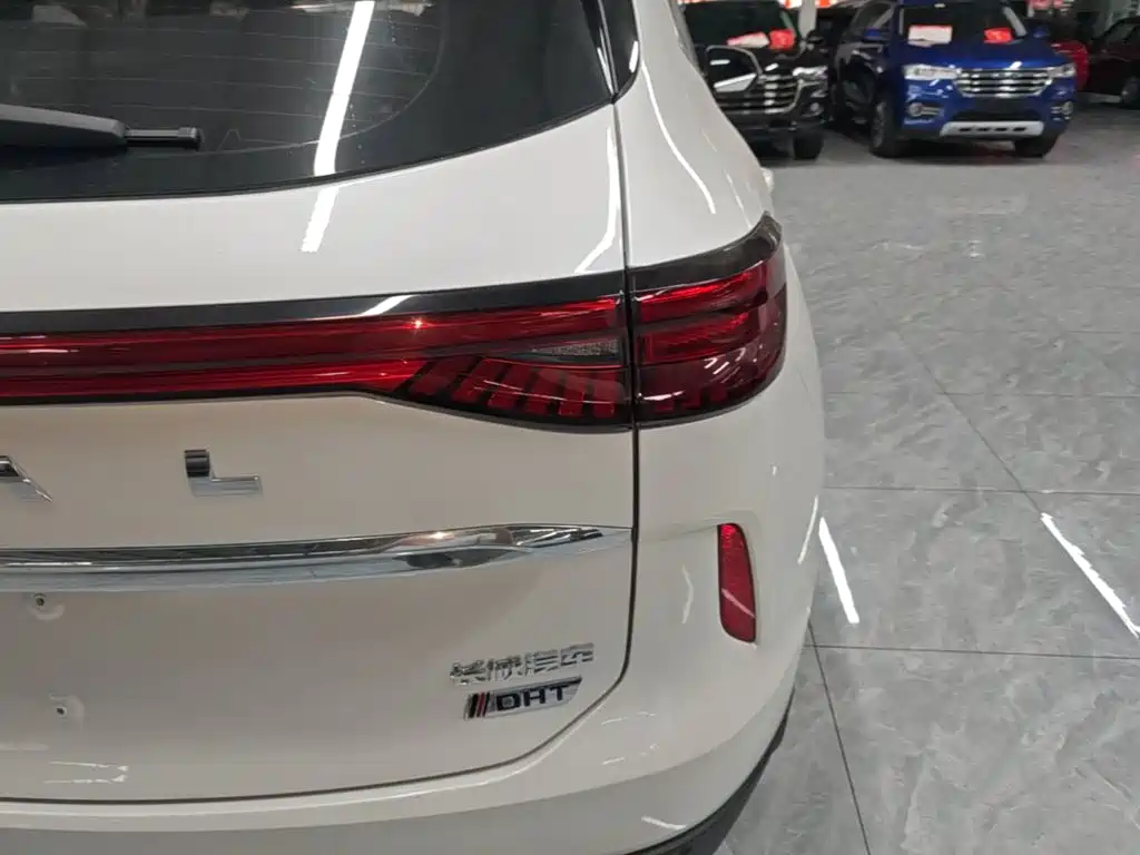 Haval H6 New Energy — фото 8