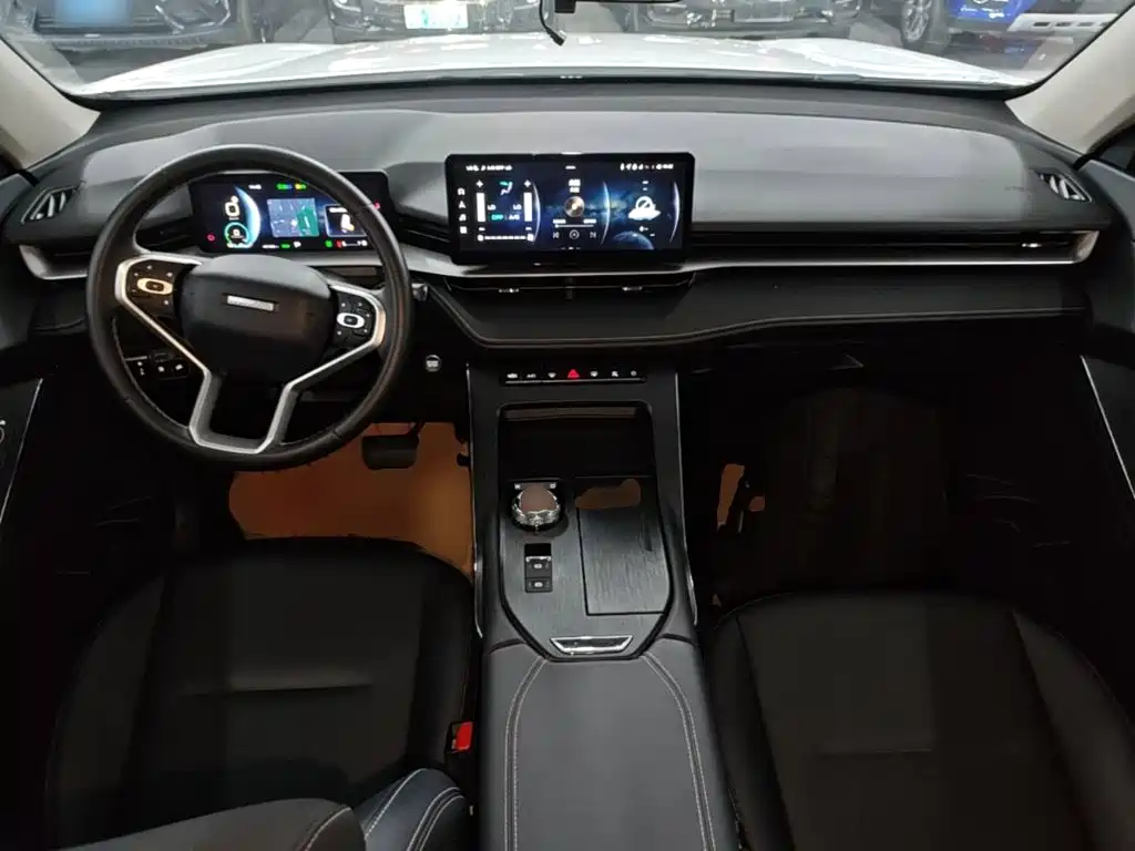 Haval H6 New Energy — фото 10