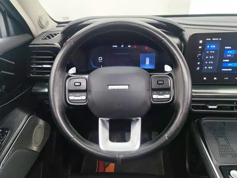 Haval Cool Dog — фото 15