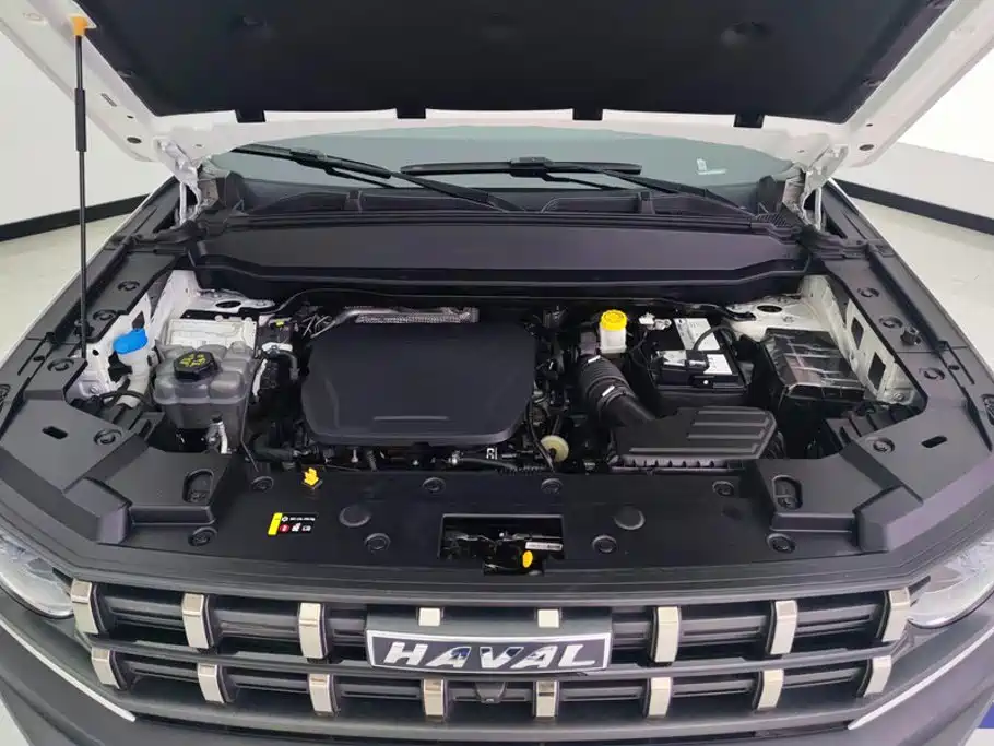 Haval Cool Dog — фото 10