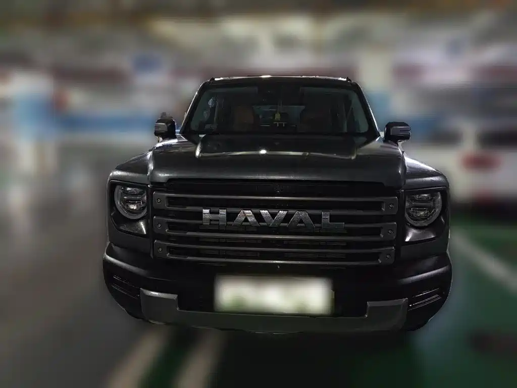 Haval Menglong New Energy — фото 24