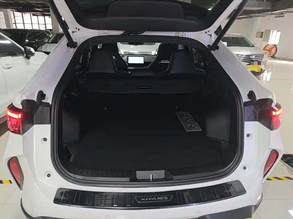 Haval H6S — фото 19