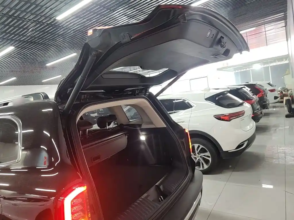 Haval Big Dog — фото 19