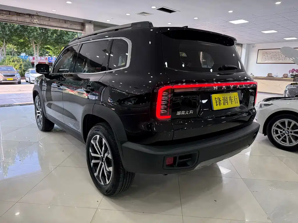 Haval Big Dog — фото 4