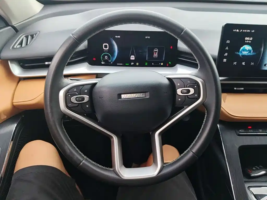 Haval H6 New Energy — фото 11