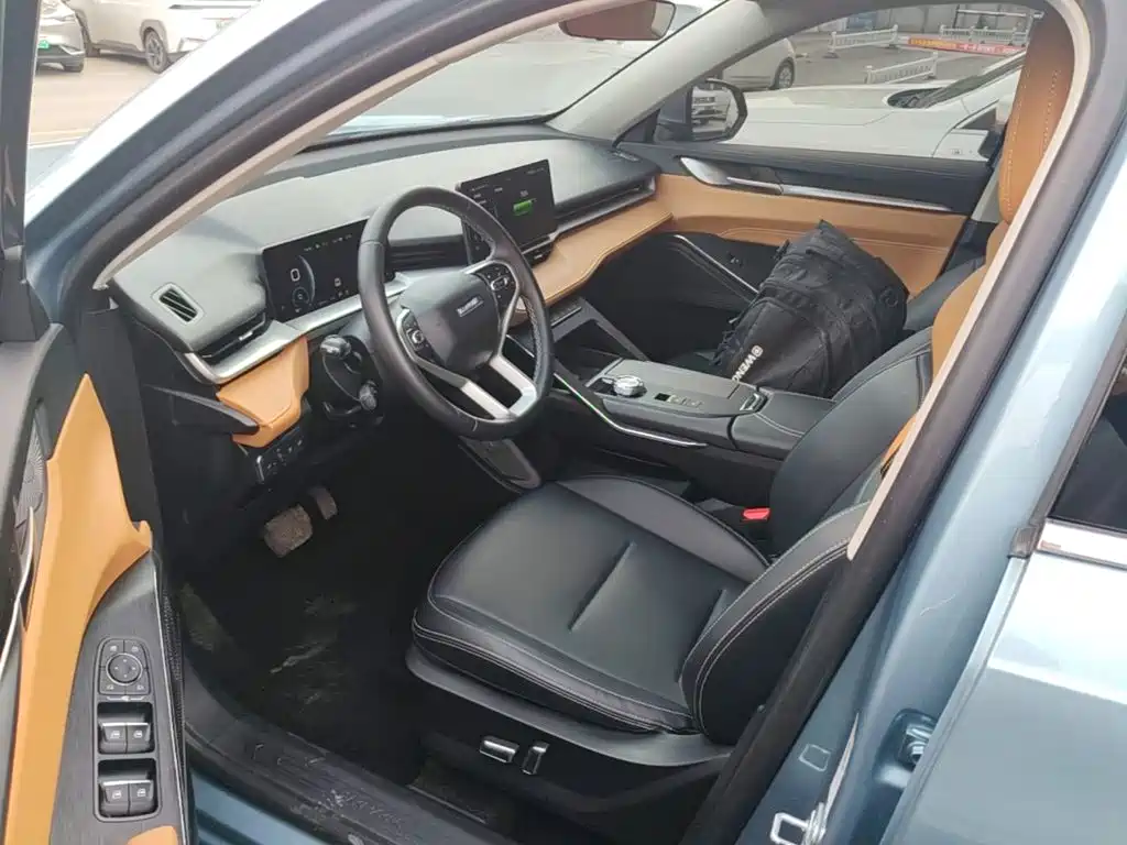 Haval H6 New Energy — фото 15