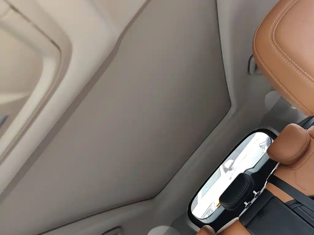 Haval H6 New Energy — фото 18