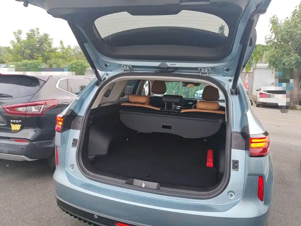 Haval H6 New Energy — фото 19
