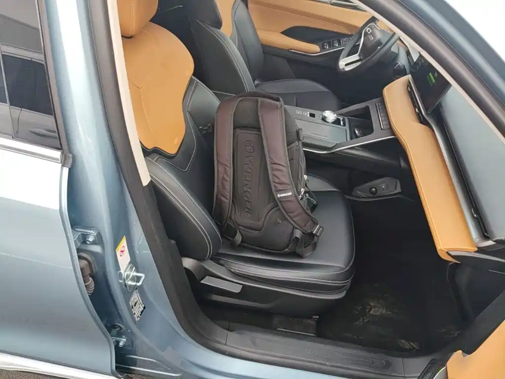 Haval H6 New Energy — фото 25