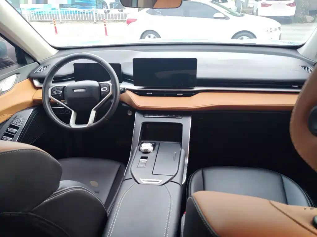 Haval H6 New Energy — фото 10