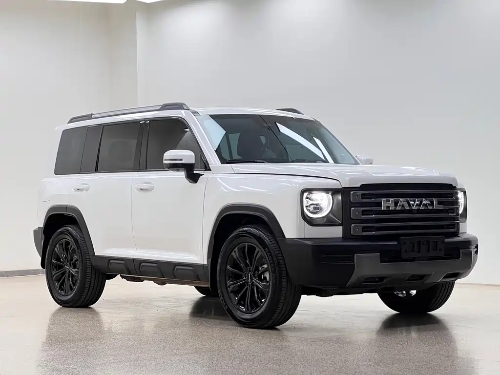 Haval Menglong New Energy — фото 3