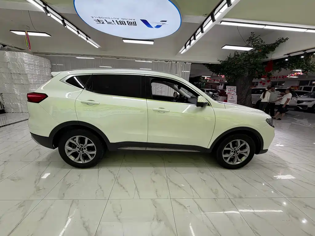 Haval H6 — фото 8