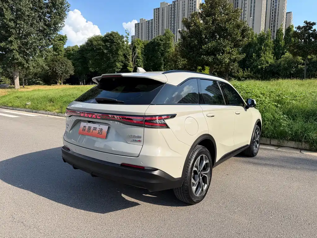 Haval Xiaolong MAX — фото 15