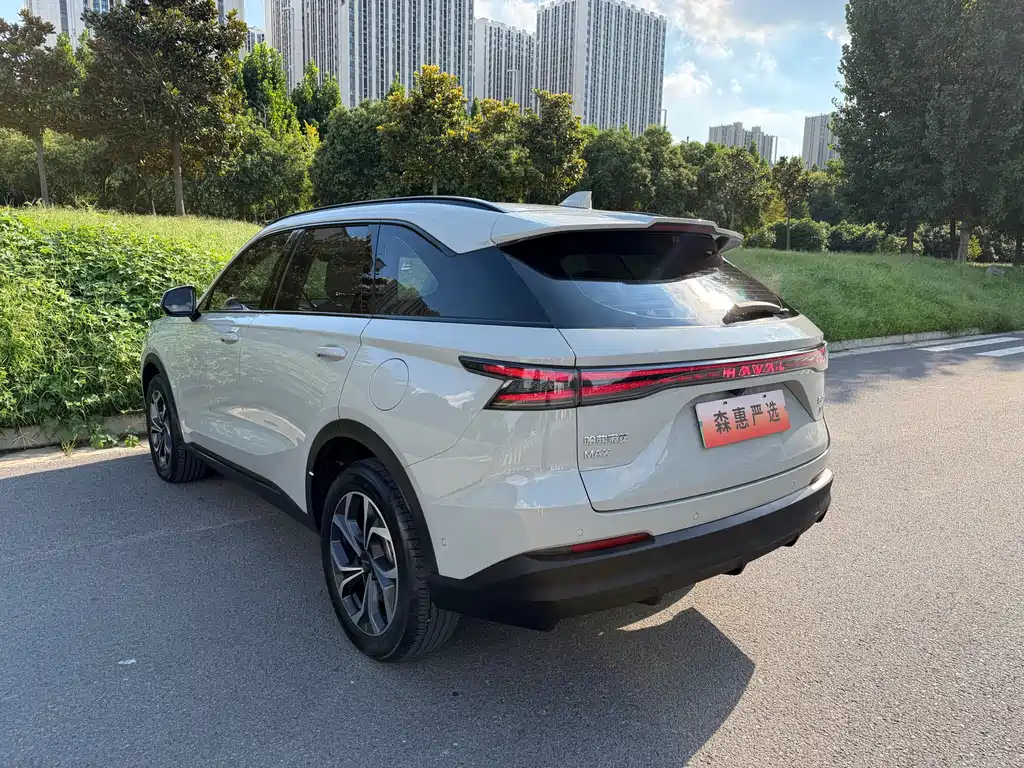 Haval Xiaolong MAX — фото 17