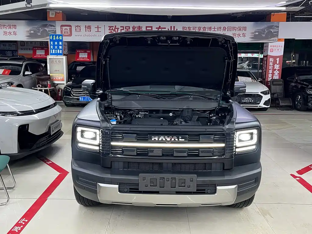 Haval Menglong New Energy — фото 19