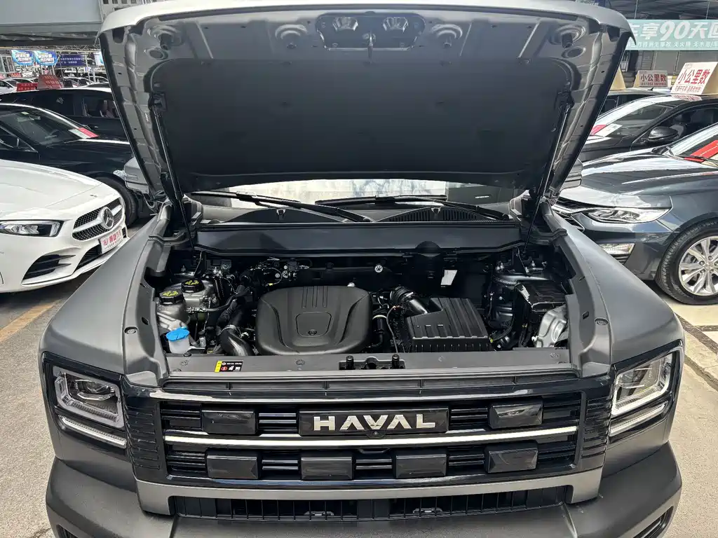 Haval Menglong New Energy — фото 20