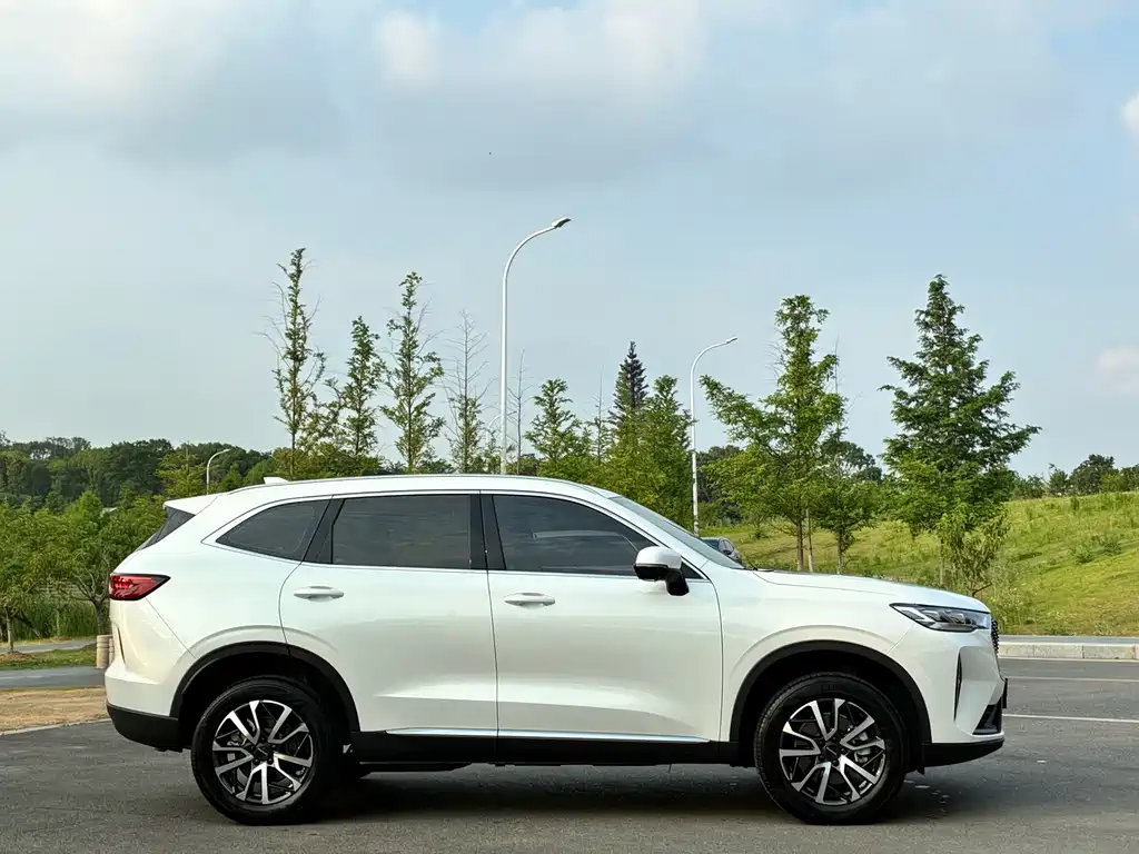 Haval H6 — фото 4