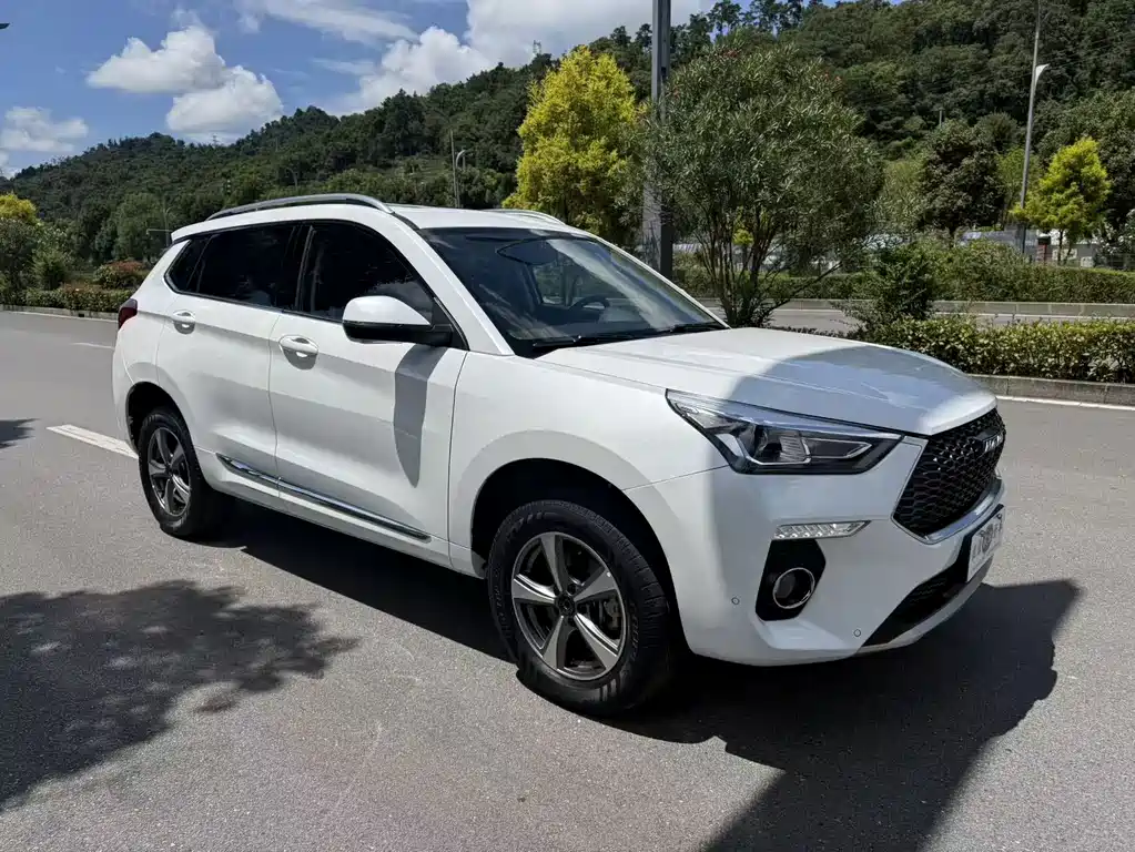 Haval H6 Coupe — фото 3
