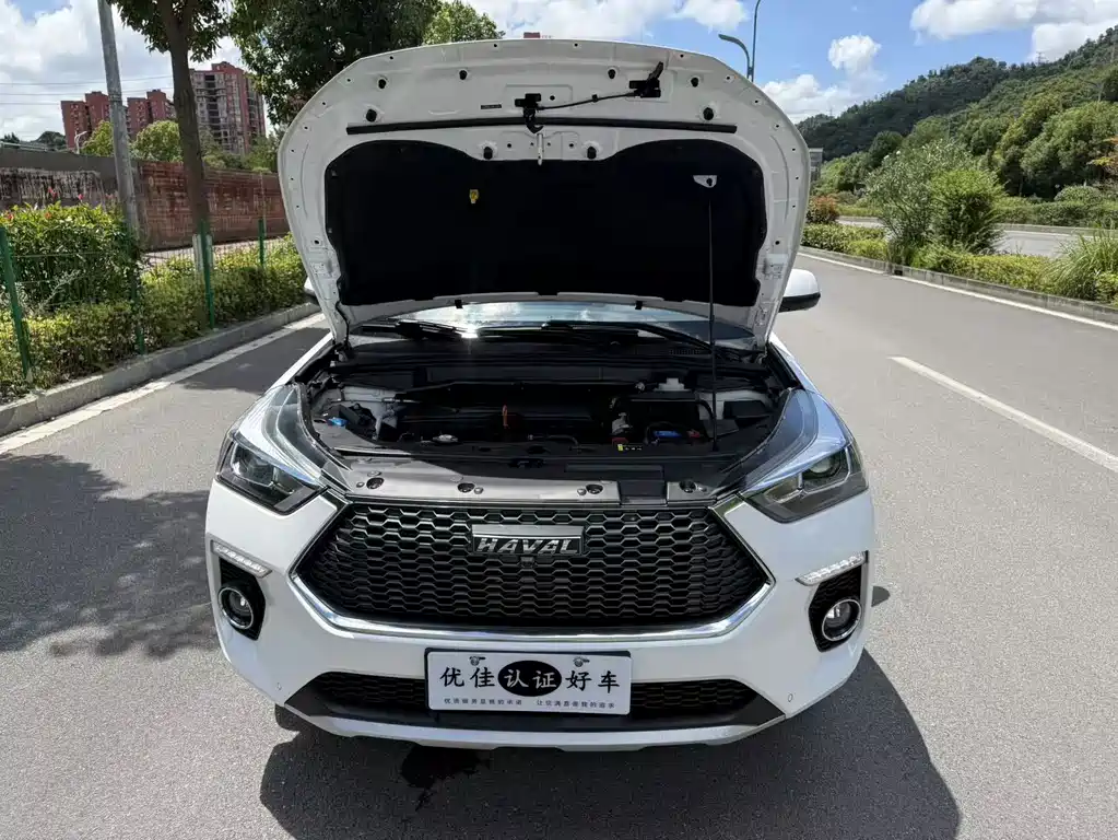 Haval H6 Coupe — фото 8